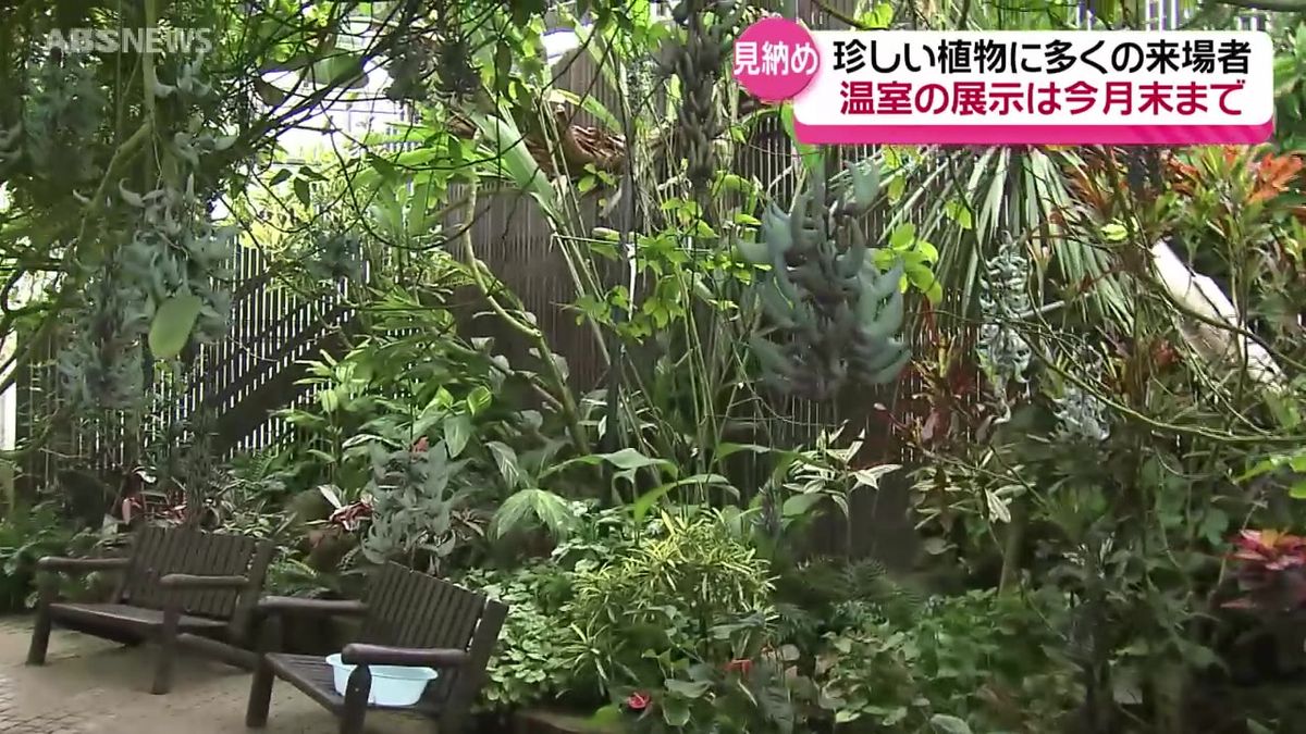 まもなく温室の展示が終了となる大潟村の生態系公園 駆け込み需要でにぎわい