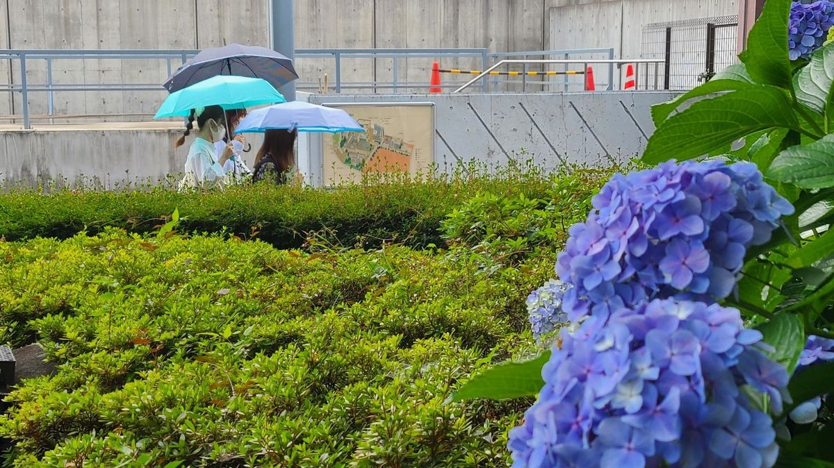 北陸地方で梅雨入り　１９日は大雨の恐れも