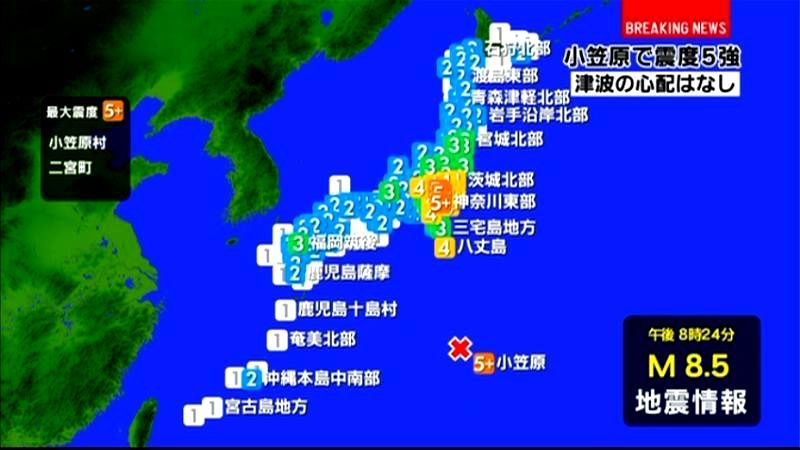 東京消防庁に通報複数～地震の影響かは不明