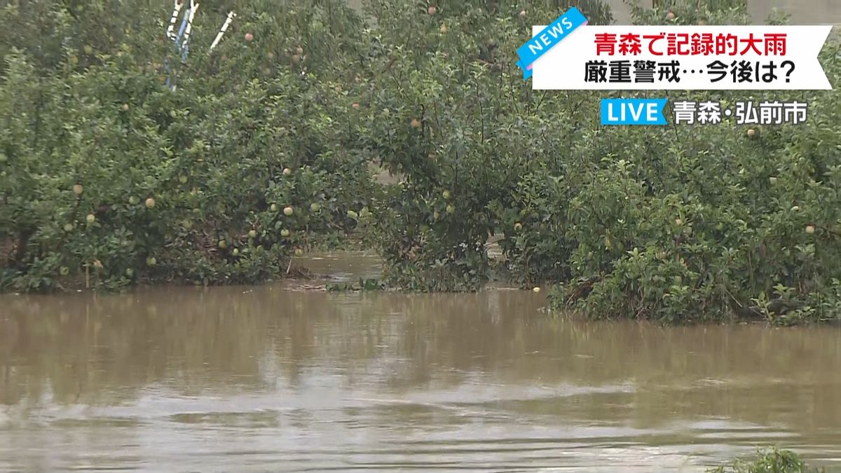 青森で記録的大雨　岩木川沿いから中継