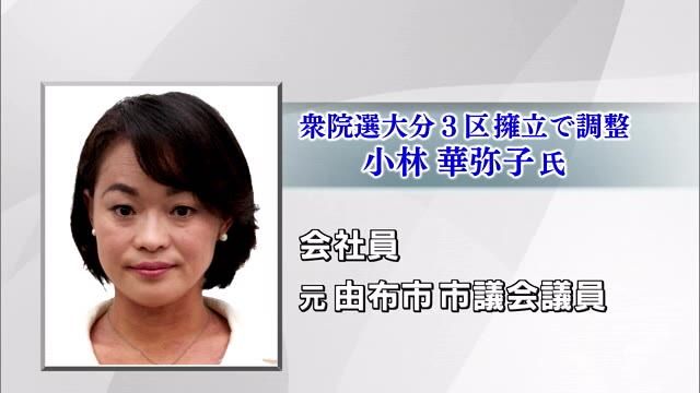 次期衆院選大分3区　立憲県連　元市議の女性擁立で調整