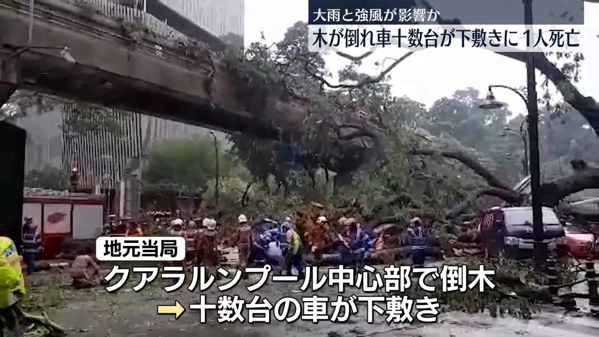 マレーシア首都で車道に木が倒れ…車十数台が下敷きに　1人死亡