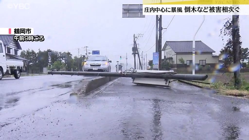 【強風】庄内中心に街路樹倒れるなど被害・山形