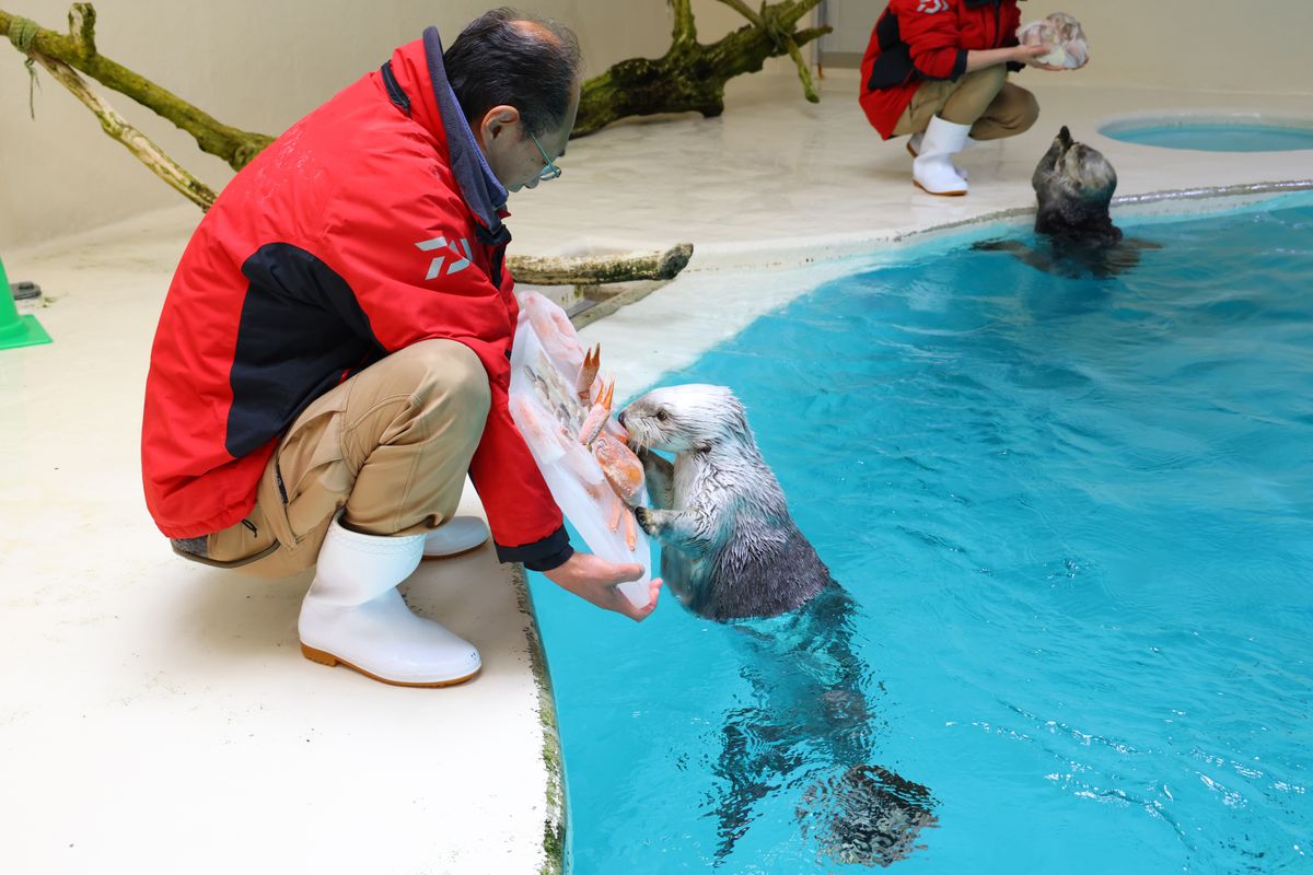 2023年の誕生日イベントの様子（写真提供：鳥羽水族館）