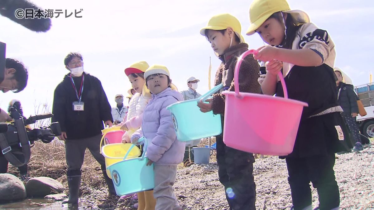 「大きくなってねー！」　地元の園児がサケの稚魚500匹を日野川に放流　鳥取県米子市