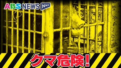 秋田市土崎地区でまたクマと思われる生き物目撃　6日夕方　コープあきたそばの県道  小学校まで300メートル   警察で注意を呼びかけ　