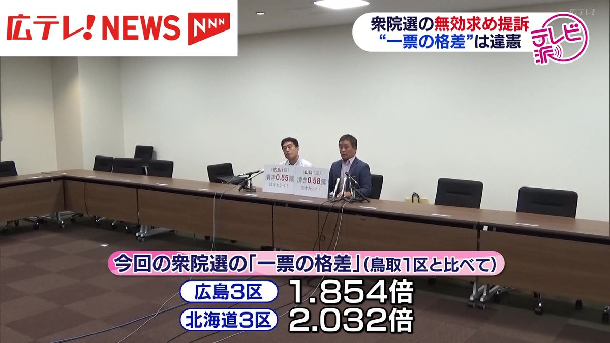 一票の格差巡り全国一斉提訴　区割り変更にもかかわらず憲法違反と弁護士ら主張