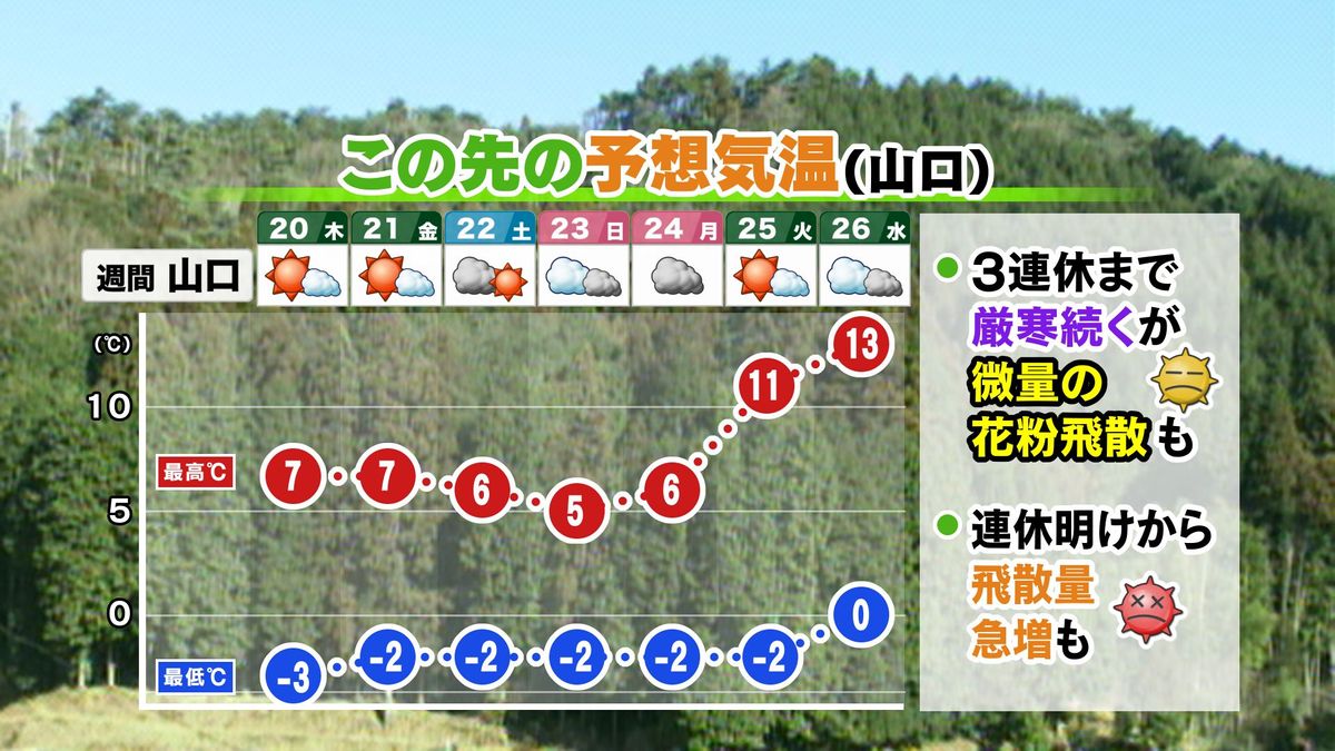 【山口天気 夕刊2/19】厳しい寒さの中でもスギ花粉が微量飛散…3連休まで厳寒続くが花粉対策は万全に　来週は一段と花粉飛散増のおそれ