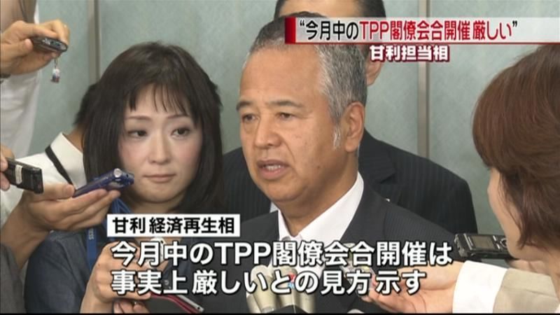 ＴＰＰ閣僚会合、今月開催厳しい～甘利氏