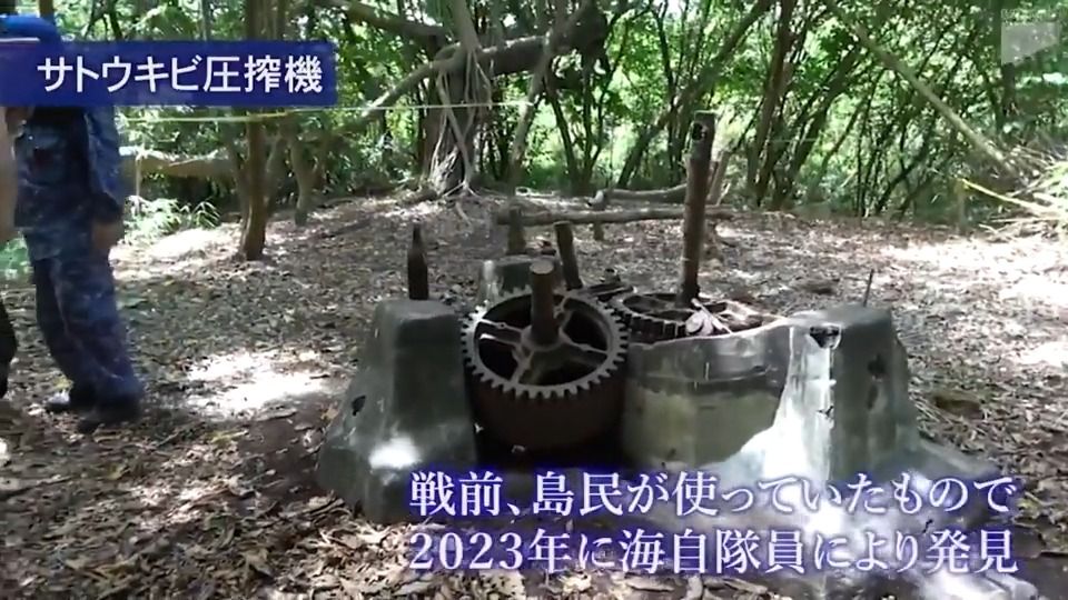 2023年に発見されたサトウキビ圧搾機