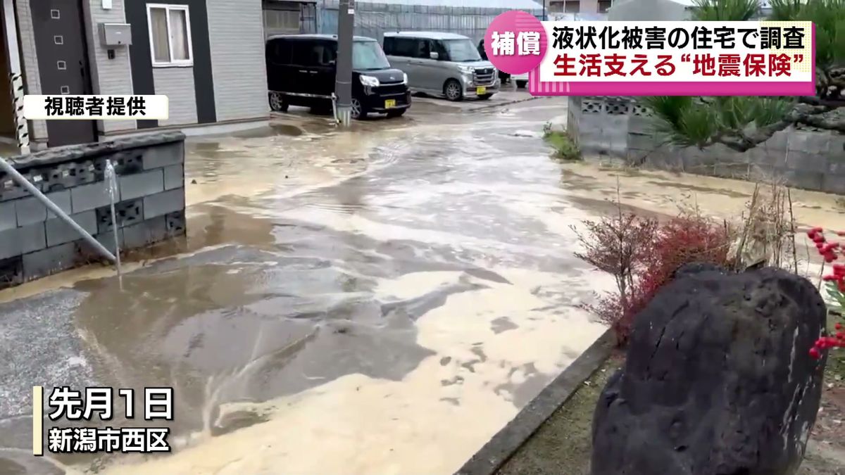 【地震保険】液状化被害の新潟市西区で調査　どのような補償が受けられるのか　能登半島地震  《新潟》