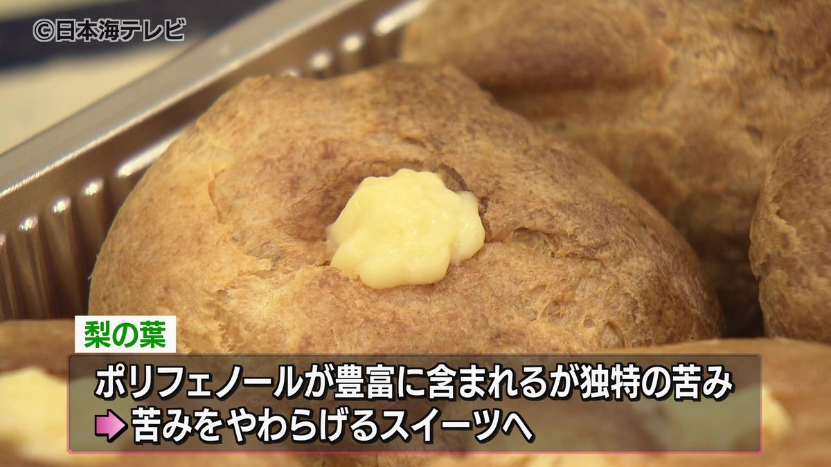 活用されることが少ない梨の葉をスイーツに　大学生が開発したスイーツの試食会　鳥取県