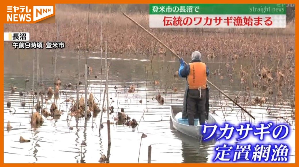 「天ぷらが一番、次は唐揚げ…」100年以上続く伝統の”ワカサギ漁”始まる（宮城・登米市の長沼）