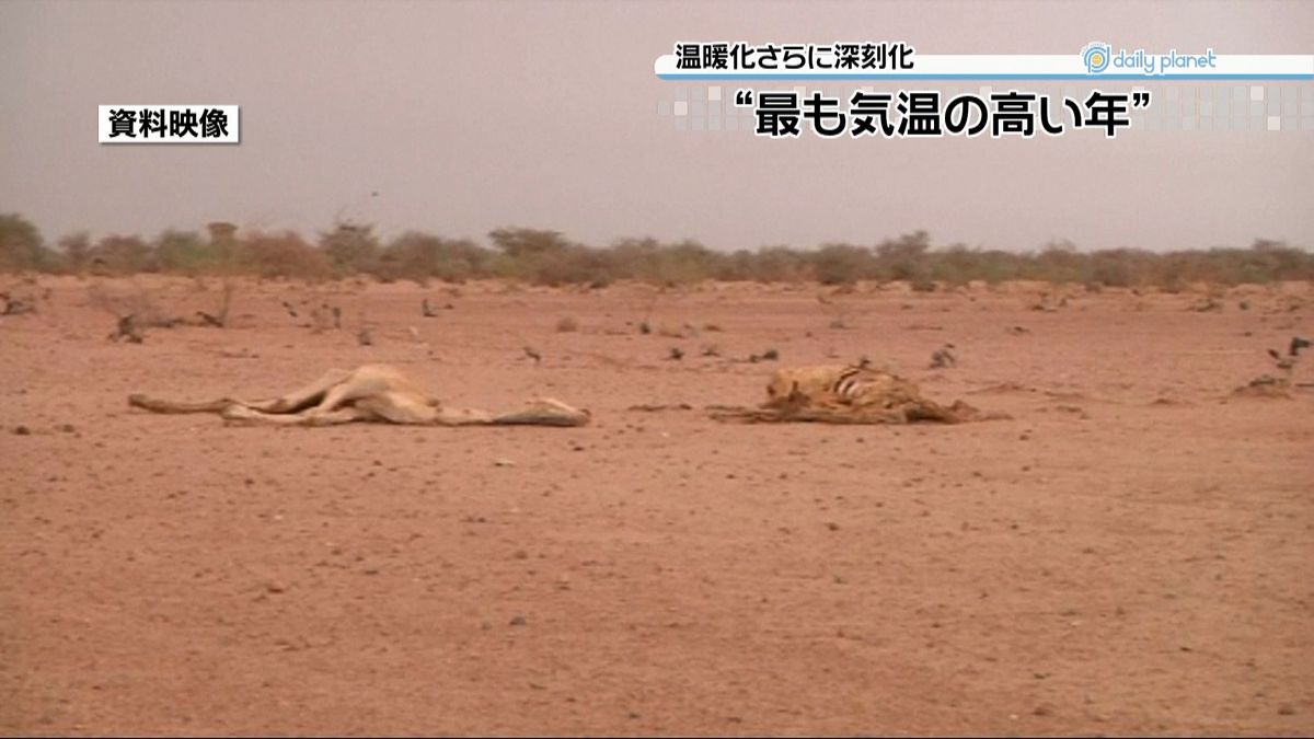 ２０１５年、観測史上最も気温の高い年に