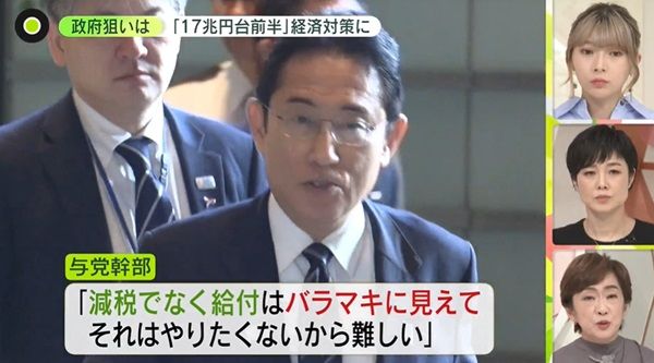 与野党から「給付が効果的」との声も