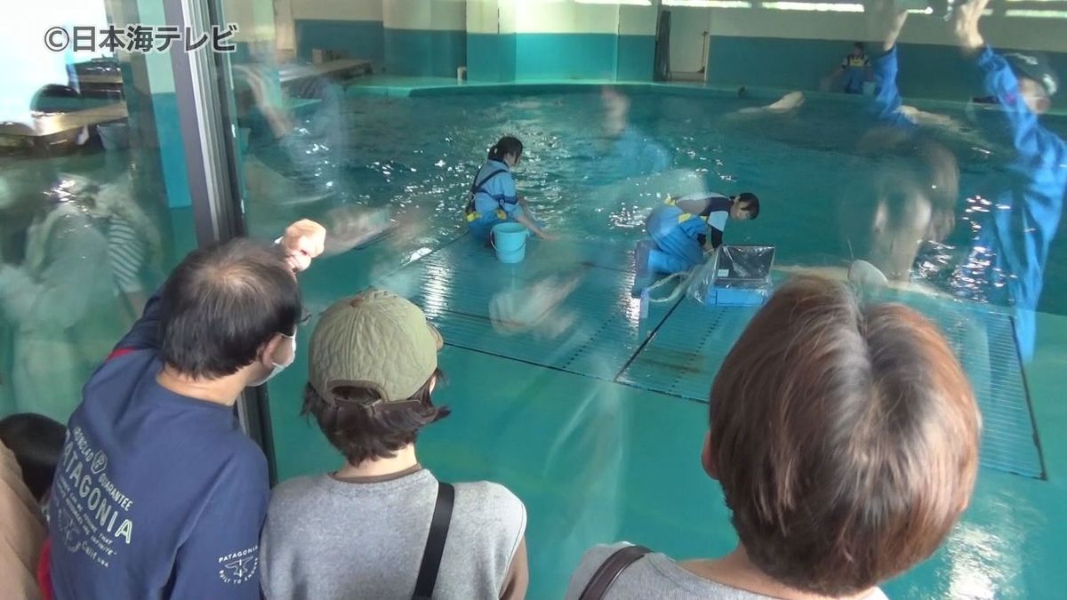 4月19日は「飼育の日」　しまね海洋館アクアスで普段入ることのできないバックヤードツアー開催　島根県浜田市