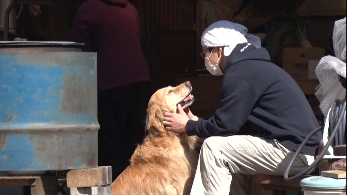 都会を離れ山奥へ…手作りの小屋暮らしで“自分らしい生き方”を