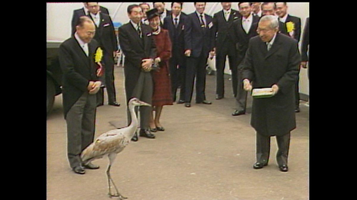 1982(昭和57)年3月 オオカナダヅルに餌を与える昭和天皇