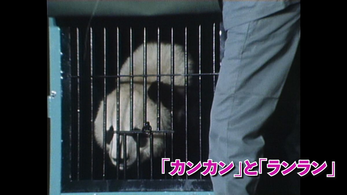 1972(昭和47)年10月 羽田空港に到着したジャイアントパンダ