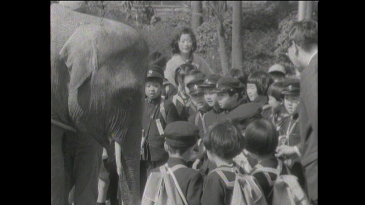 1967(昭和42)年3月 遠足で上野動物園を訪問された天皇陛下(当時7歳)