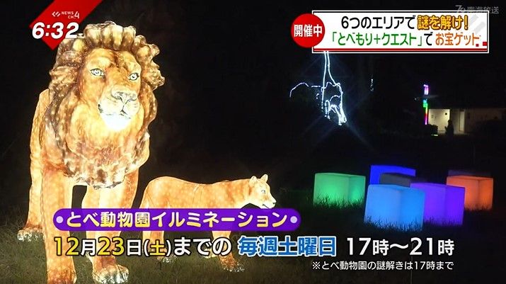 とべ動物園ではイルミネーションも開催中