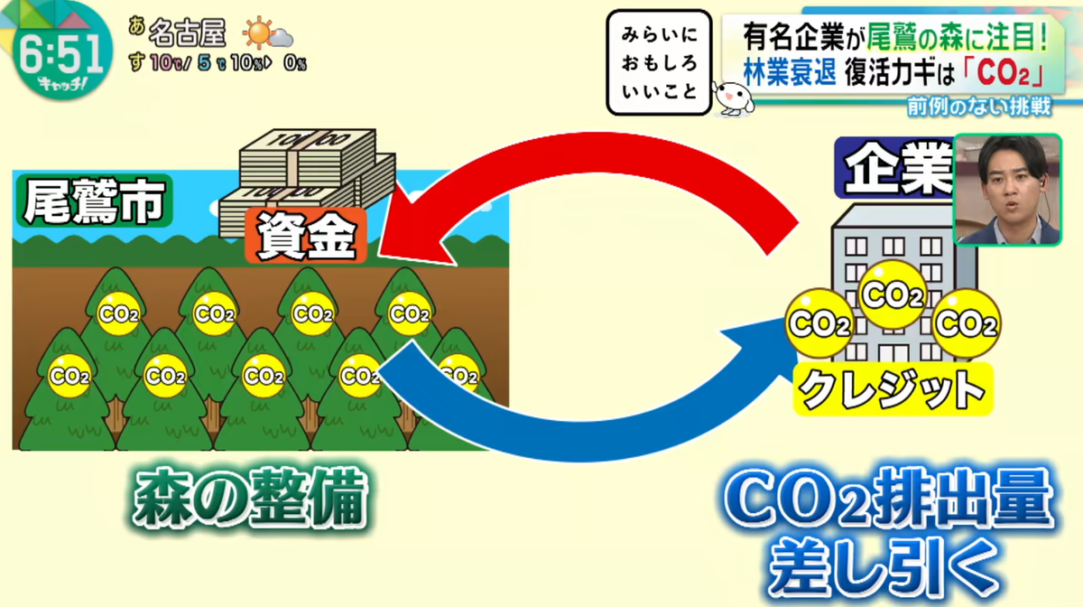 クレジットの収益を森の整備にあてる