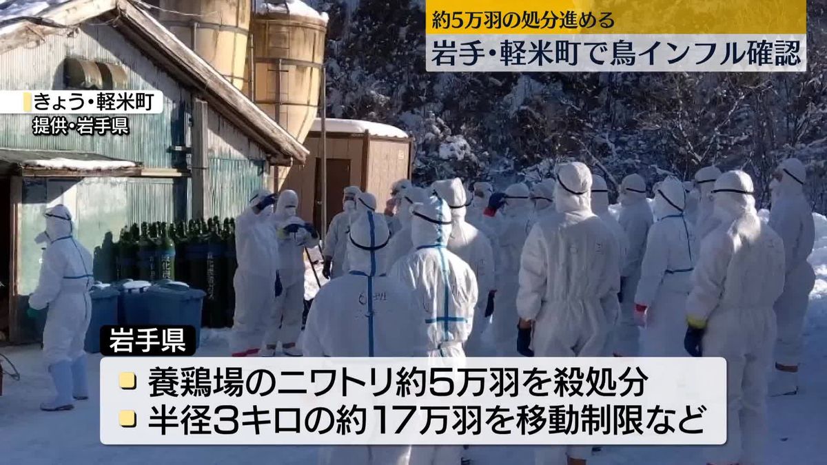 岩手・軽米町の養鶏場で鳥インフル　約5万羽を殺処分へ