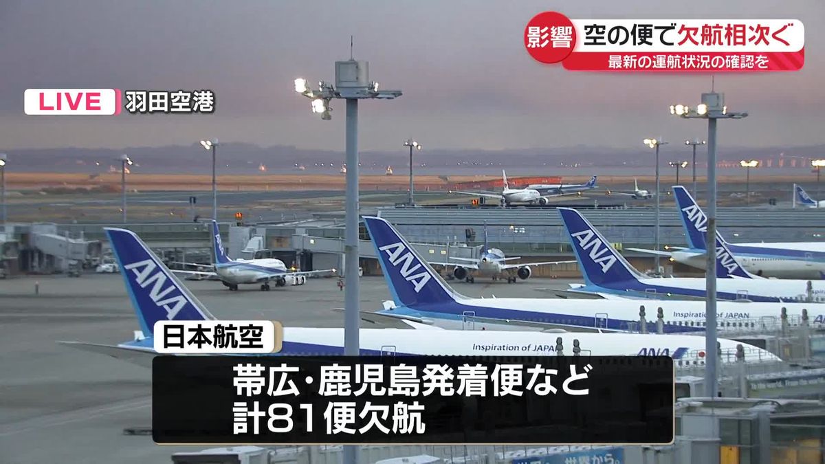 大寒波の影響…日航81便、全日空47便が欠航