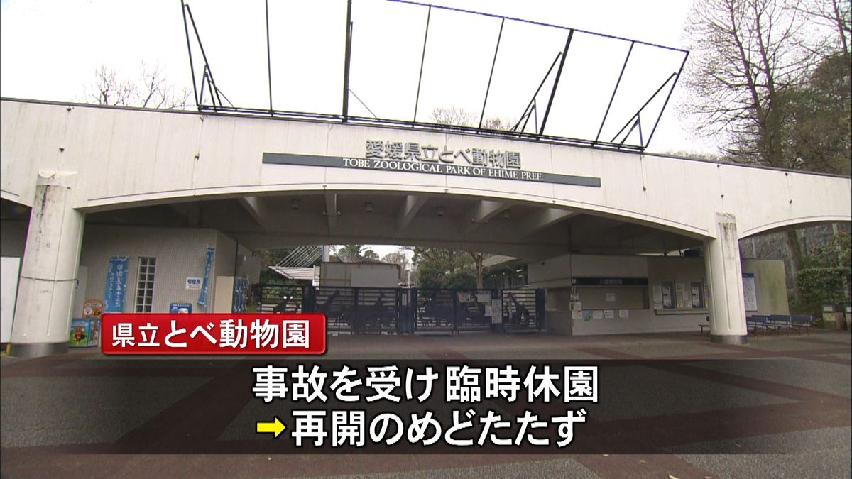 ゾウと接触し動物園の飼育員が重傷　愛媛