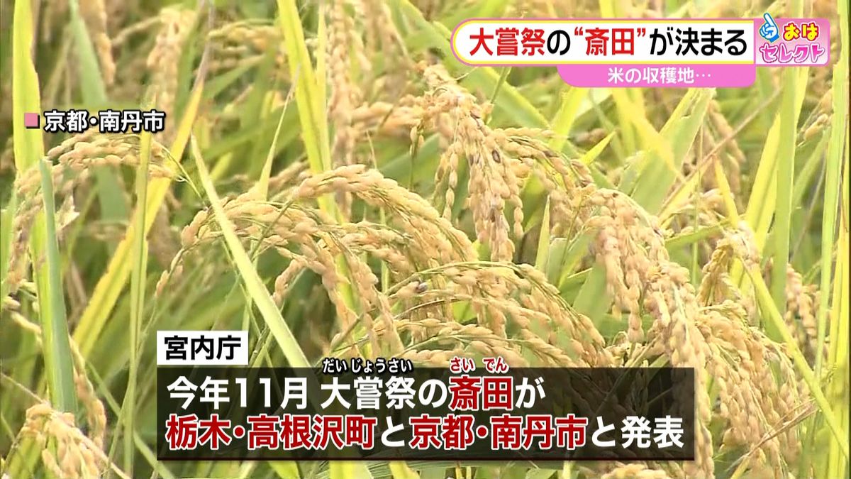 大嘗祭で使用する米の“田んぼ”が決定