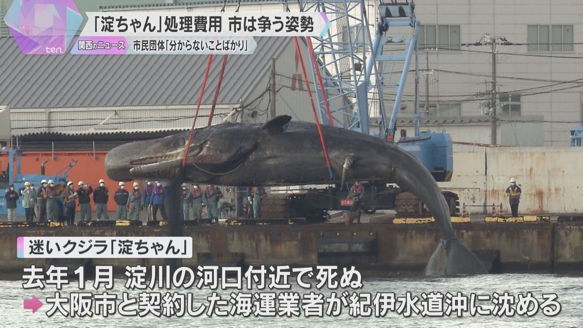 迷いクジラ「淀ちゃん」処理めぐる住民訴訟始まる　市民団体「分からないことばかり」大阪市は争う姿勢