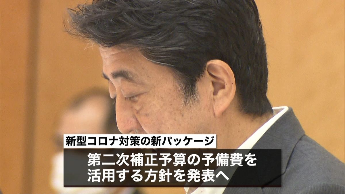 医療機関の支援に予備費活用へ　コロナ対策