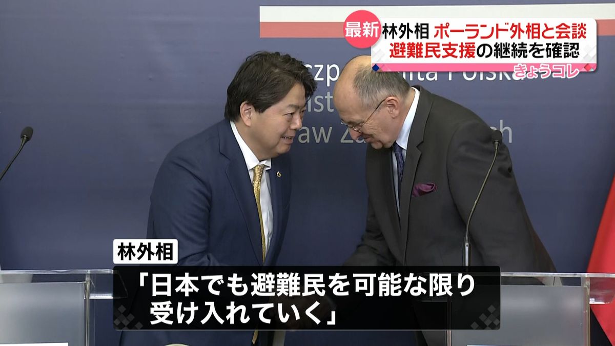 林外務大臣　ポーランド外相と会談