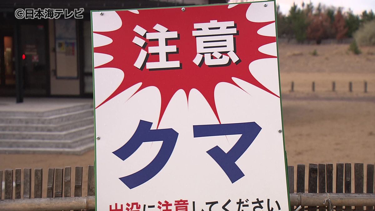 鳥取砂丘付近の道路でツキノワグマ目撃情報　鳥取市が注意喚起の看板設置などの対応　鳥取県鳥取市