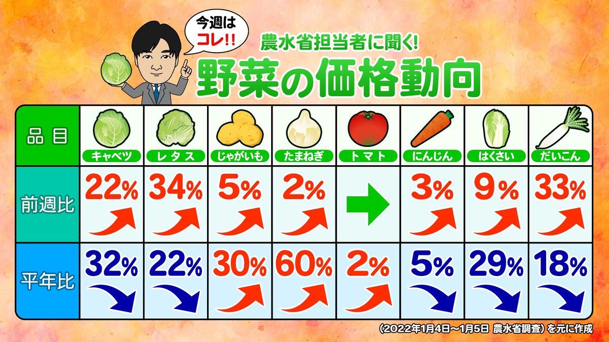 農水省「キャベツ平年比３割以上お買い得」