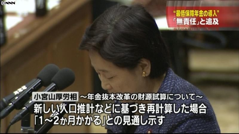 素案に“最低保障年金”、無責任～自民党