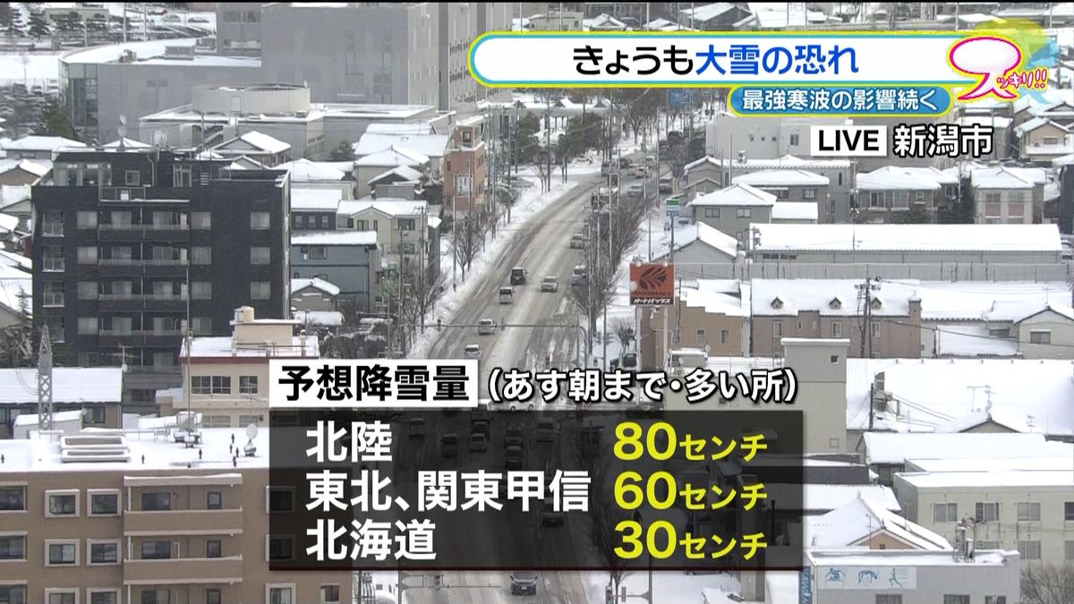 “最強寒波”関東甲信６０センチの積雪予想