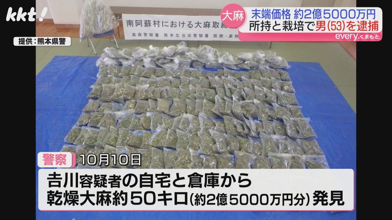 栽培された大麻草が林のよう｣所持・栽培疑いの男逮捕 末端価格2億5千万円分の乾燥大麻発見（2024年11月11日掲載）｜日テレNEWS NNN