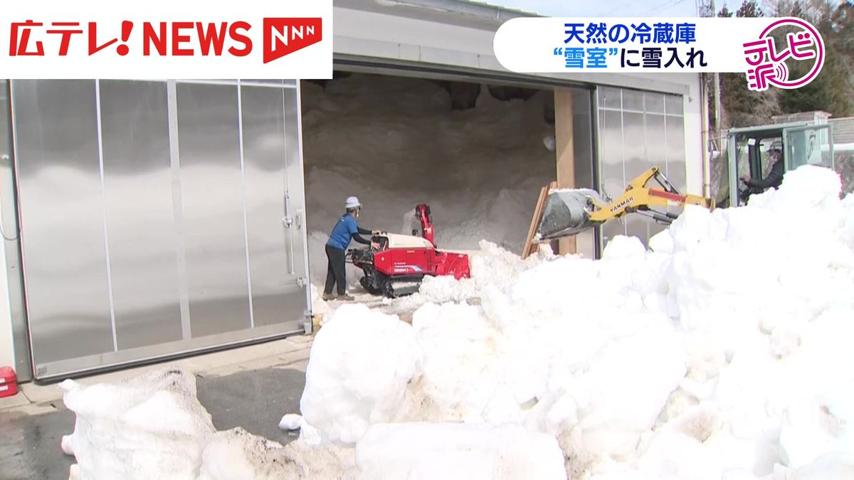 春を前に「 雪室」へ雪入れ続く 広島・庄原市