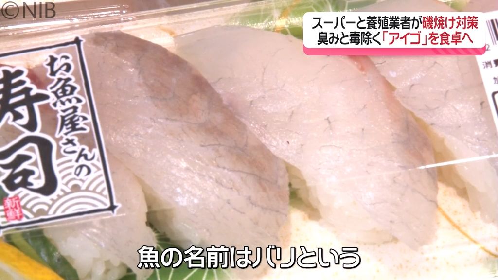 臭み&毒除けば “甘みあり美味”「アイゴを食卓へ」　磯焼け解消目指しスーパーと養殖業者がタッグ《長崎》