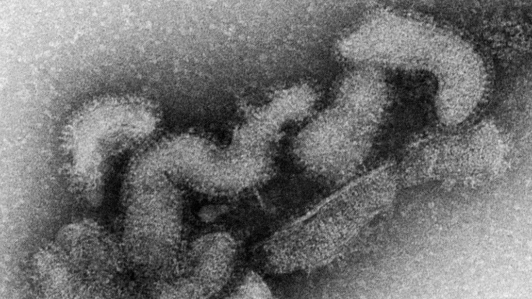 世界初マダニ媒介の「オズウイルス」で死亡例