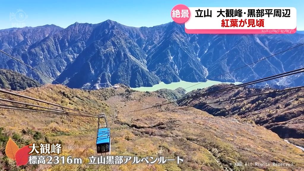 錦秋　今が盛り紅葉の立山　トロリーバスラストイヤーイベントも　富山