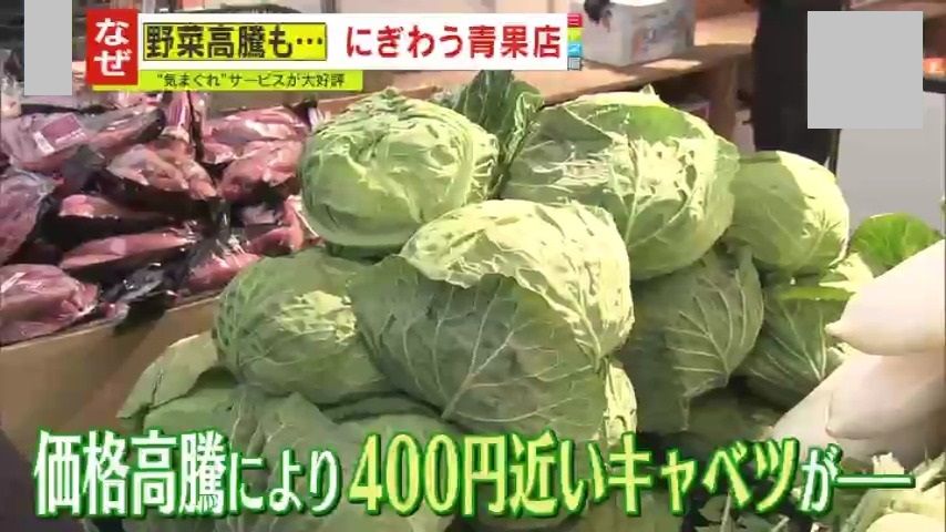 いまや高値のキャベツが…