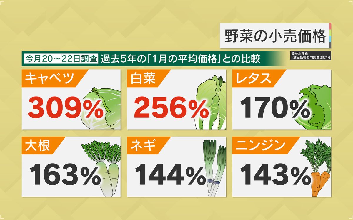 野菜の価格変動に対策