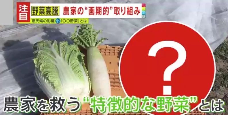 農家を救う？『〇〇野菜』