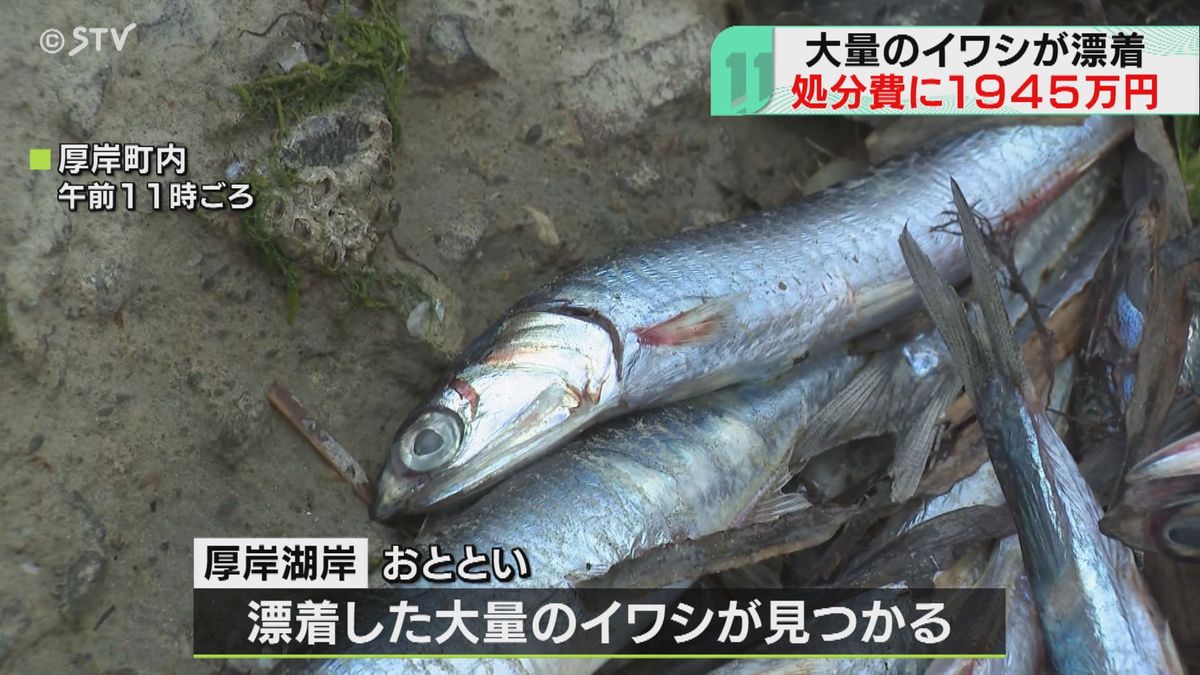 昨年度４回道内各地にイワシ大量漂着…処分にかかった費用実に１９４５万　１位は函館５８０トン