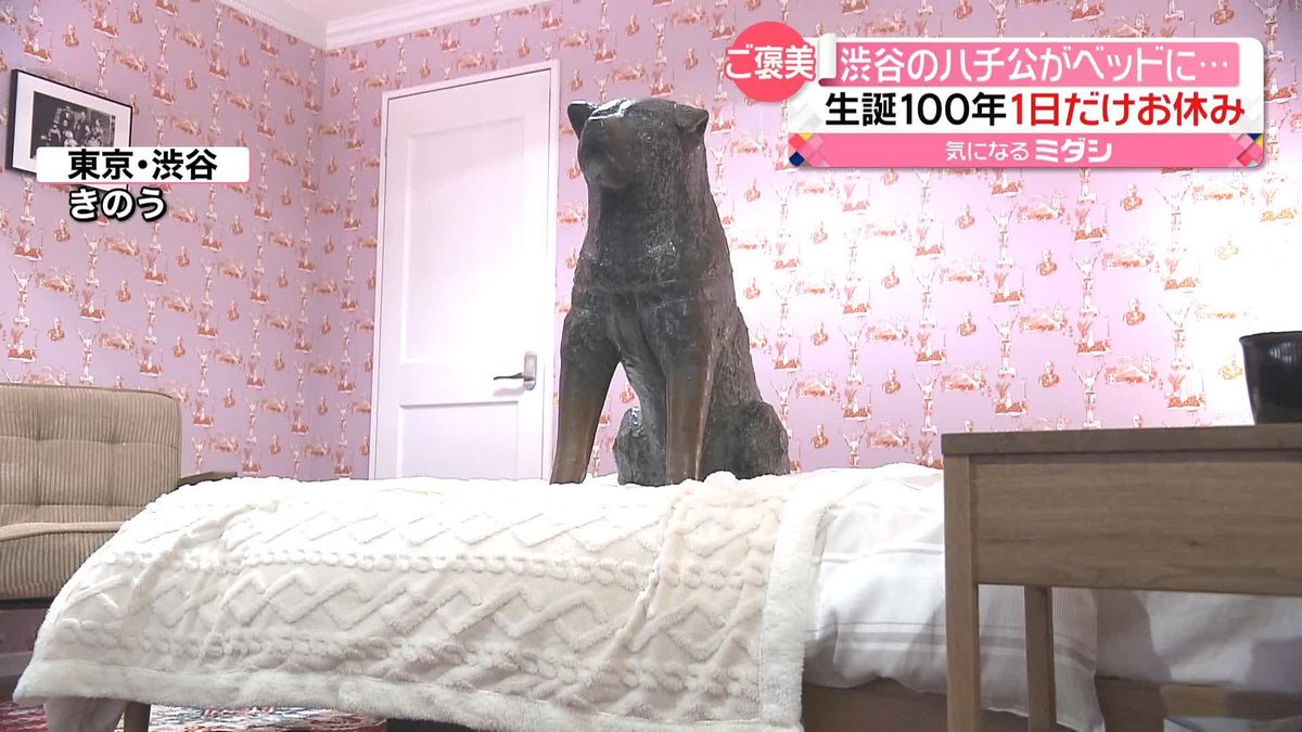 渋谷「忠犬ハチ公」ベッドの上に…　生誕100年祝い1日だけ“お休み”
