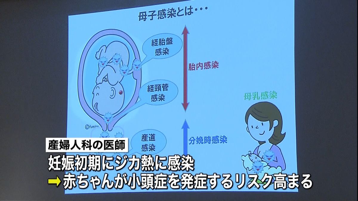 妊婦の「ジカ熱」感染予防を　都内で講座