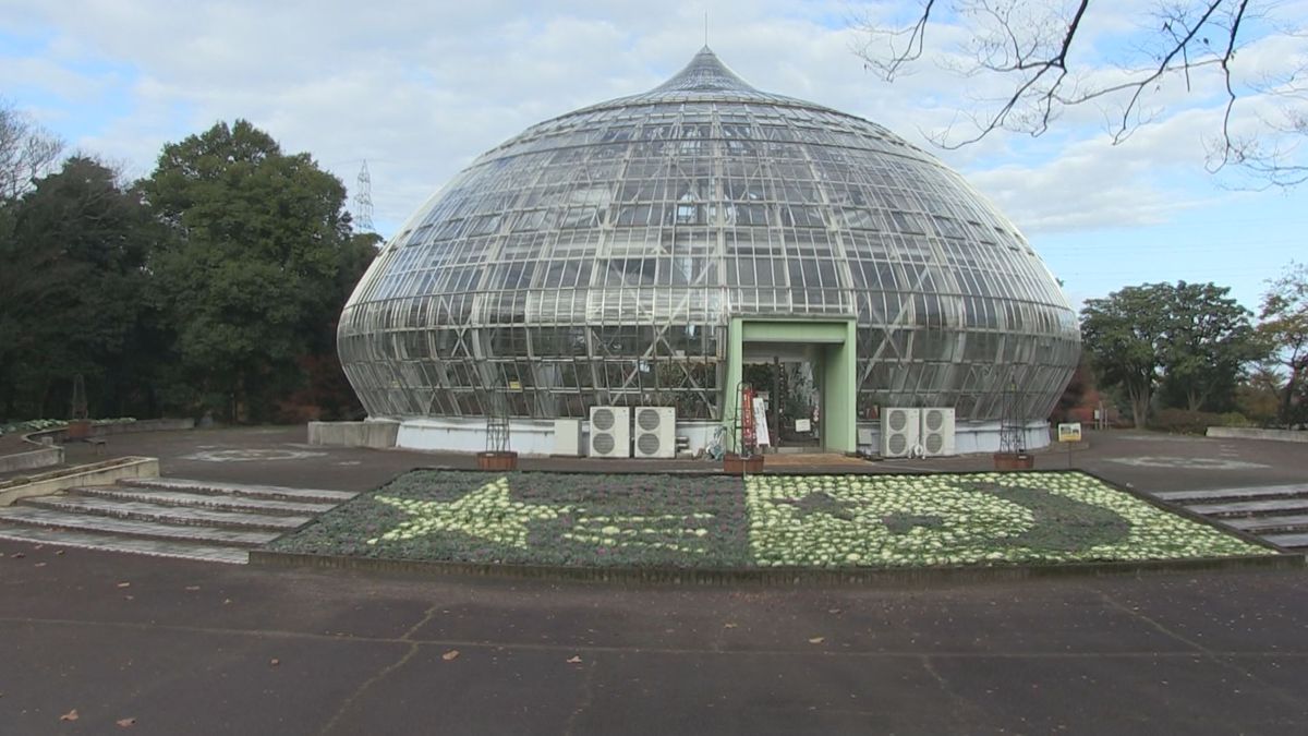 葉ボタンで表現した流れ星や三日月 園児たちのデザイン花壇 県総合グリーンセンター