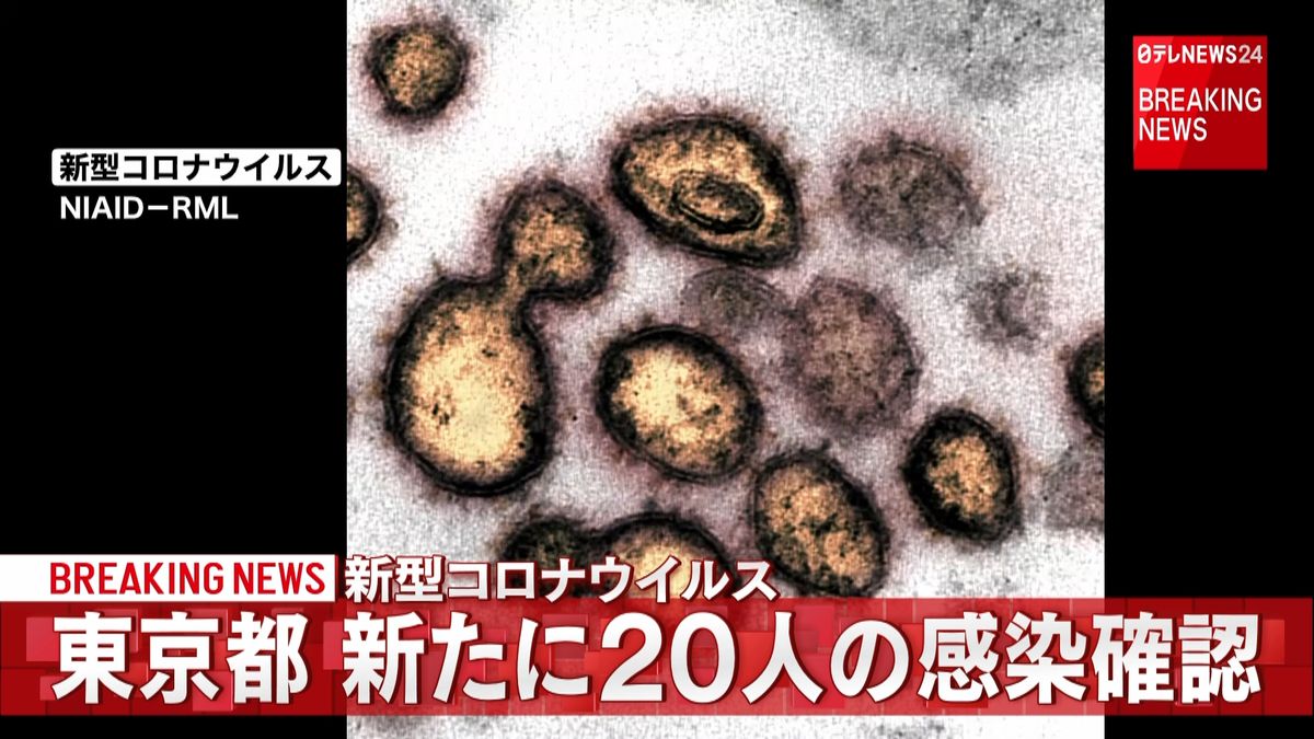 東京都で新たに２０人の感染確認